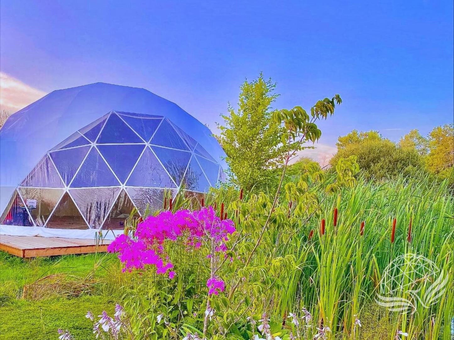 9M Glass Dome
